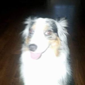 Meet your Posher, Wendy